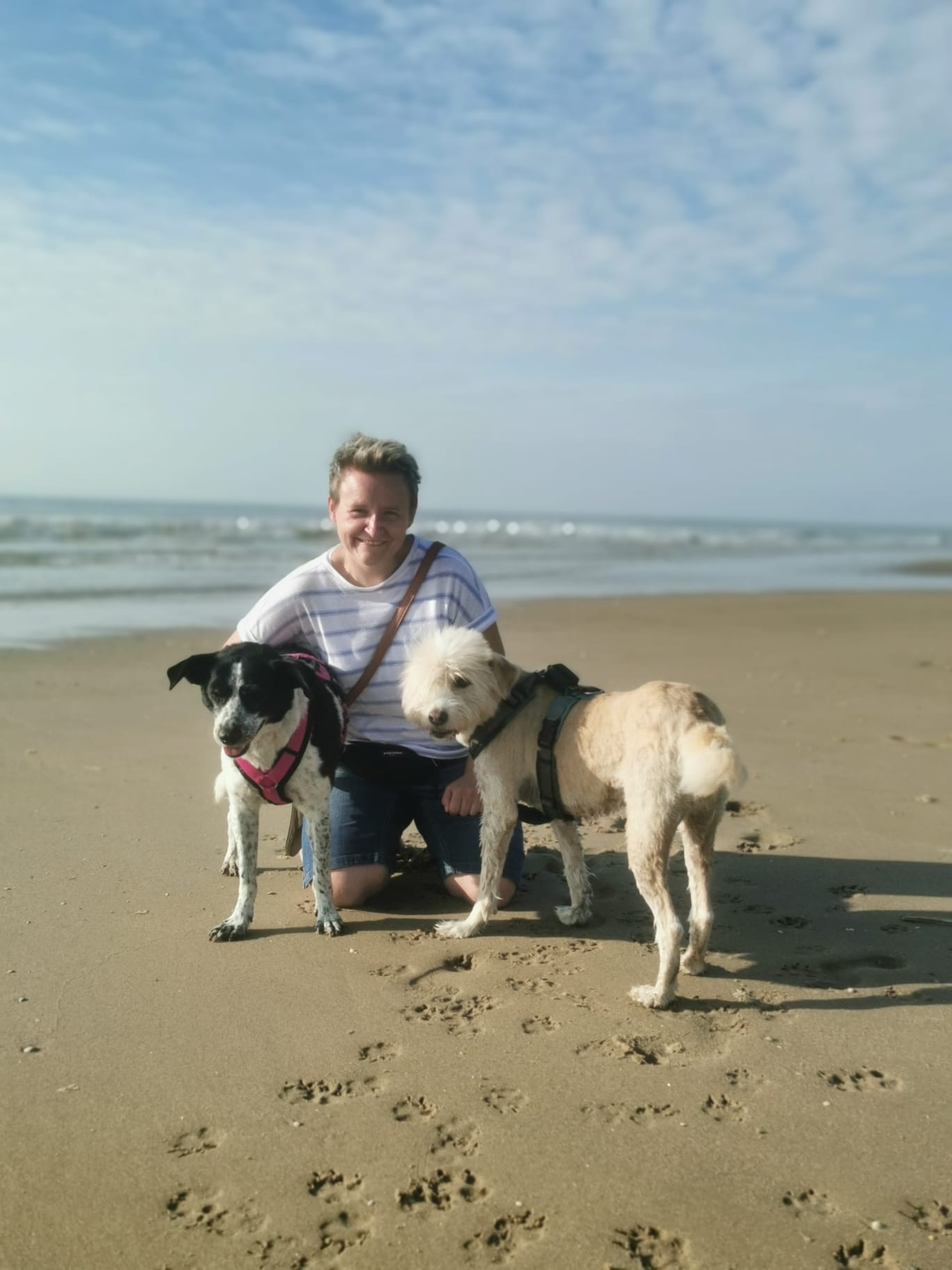 Patrizia Dlugosch mit ihren beiden Hunden am Strand